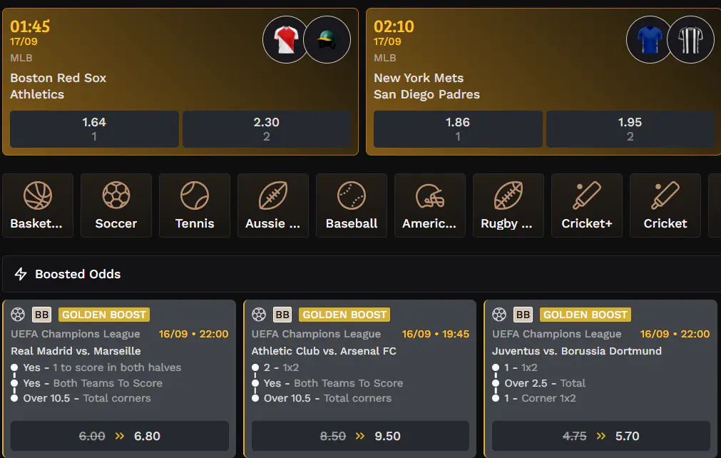 Sports betting at Wildsino